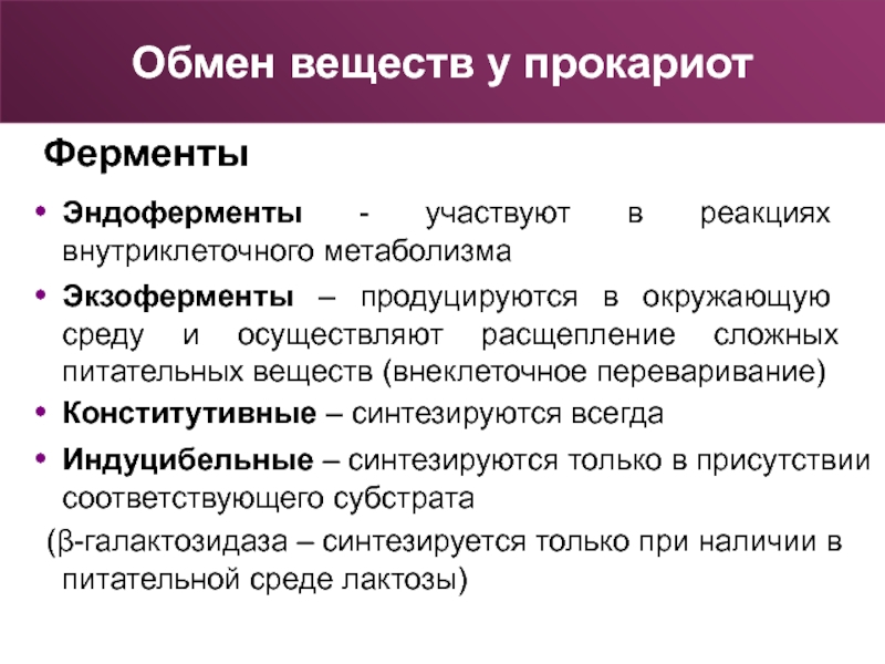 Обмен ферментов. Конститутивные и индуцибельные ферменты. Ферменты экзоферменты эндоферменты. Эндоферменты это микробиология. Что такое ферменты и их роль в метаболизме.