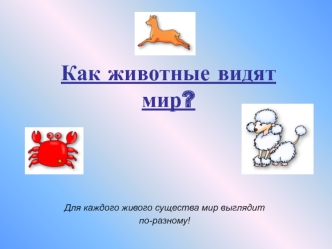 Как животные видят мир?