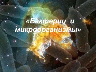 Бактерии и микроорганизмы