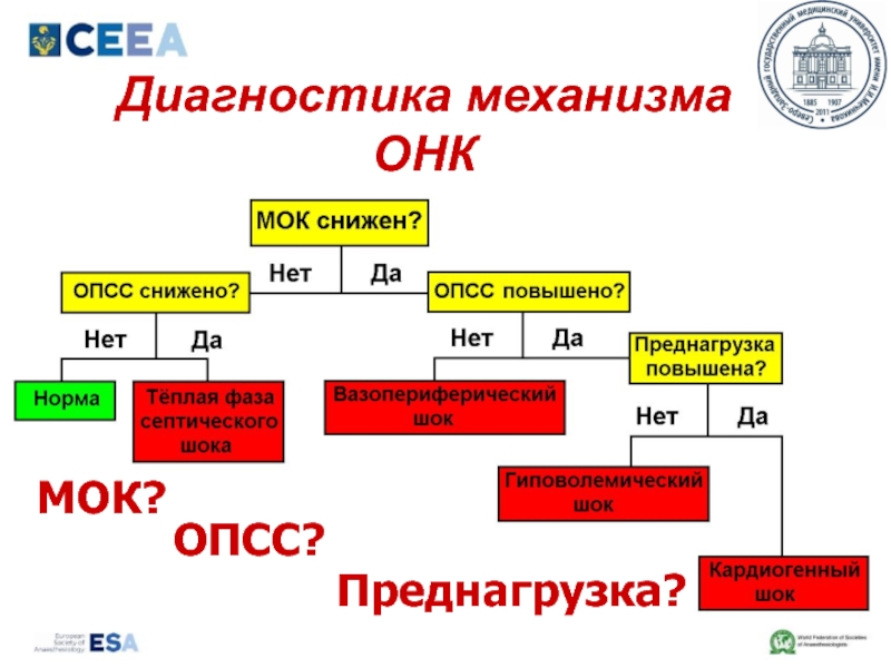 Опсс в медицине. Ренолия механизм, диагностика.