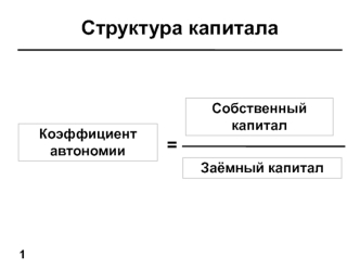 Структура капитала