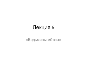 Ведьмины мётлы