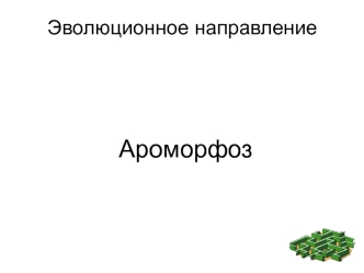 Эволюционное направление. Ароморфоз