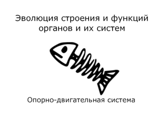 Эволюция строения и функций органов и их систем. Опорно-двигательная система