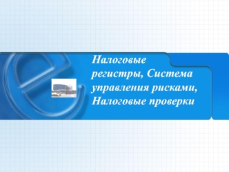 Налоговые регистры. Система управления рисками. Налоговые проверки