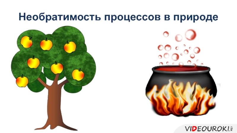 Процессы в природе. Необратимость процессов в природе. Необратимость тепловых процессов в природе. Необратимость процессов в природе физика. Термодинамика в природе.