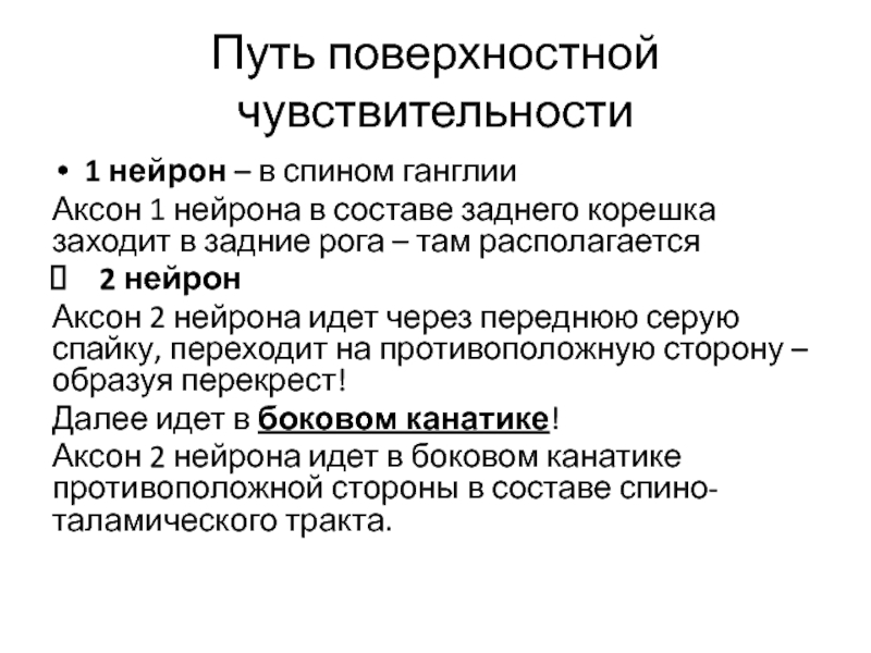 Поверхностные пути. Путь поверхностной чувствительности. Пути поверхностной и глубокой чувствительности. Путь поверхностной чувствительности схема. Пути проведения поверхностной чувствительности.