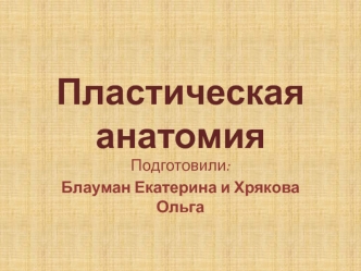 Пластическая анатомия. Золотое сечение