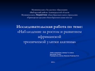 Наблюдение за ростом и развитием африканской тропической улитки ахатины