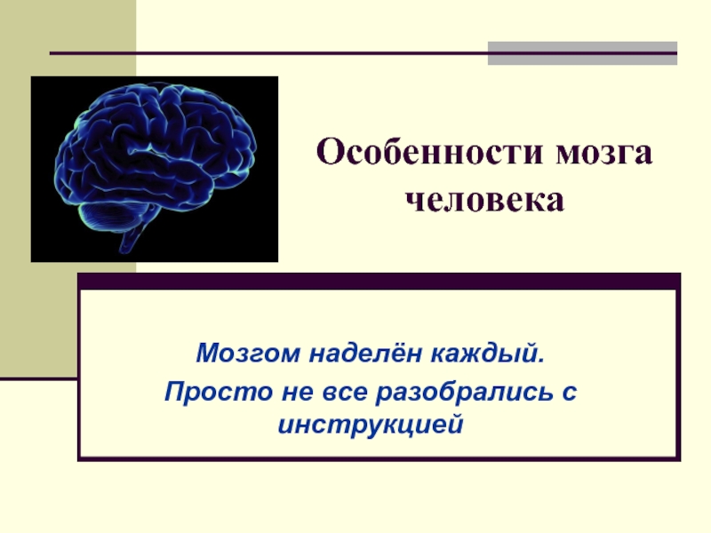 Функциональные особенности мозга. Особенности мозга человека. Мозг человека для презентации. Характеристика мозга человека. Вывод про мозг человека.