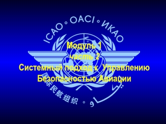 Системный подход к Управлению Безопасностью Авиации