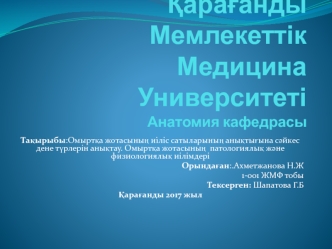 Омыртқа жотасының иіліс сатыларының анықтығына сәйкес дене түрлерін анықтау