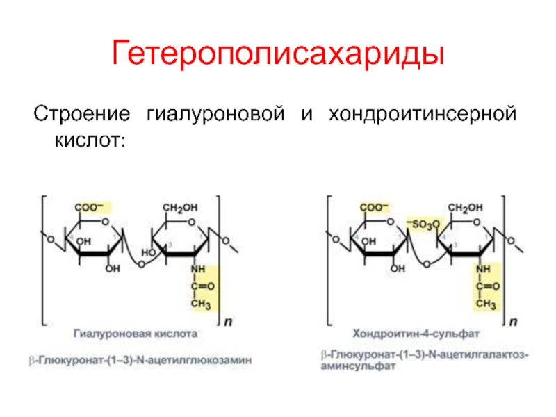 Хондроитин 6 сульфат формула. Хондроитин 4 сульфат строение. Хондроитин 6 сульфат биохимия. Хондроитин сульфат биохимия строение. Гиалуроновая кислота гетерополисахариды.
