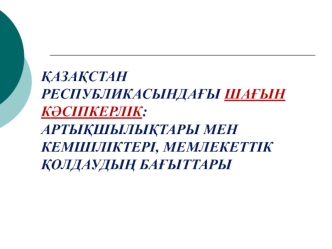 Артықшылықтары мен кемшіліктері, мемлекеттік қолдаудың бағыттары