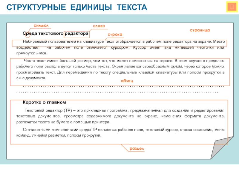 Среда текст. Структурные единицы текста. Структурными единицами текста являются. Среда текстового редактора. Место воздействия на рабочее поле.