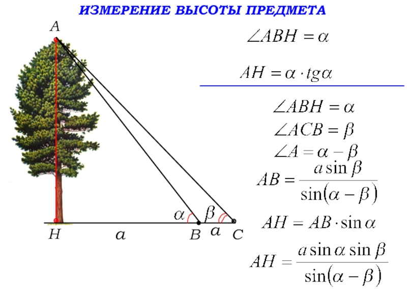 Используя данные рисунка 188 найдите высоту дерева