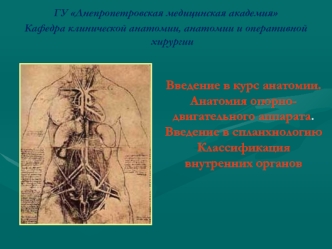 Введение в курс анатомии. Анатомия опорно-двигательного аппарата. Введение в спланхнологию. Классификация внутренних органов