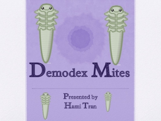 Demodex Mites