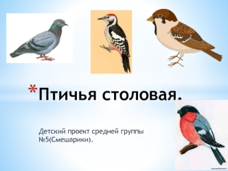 Детский проект. Птичья столовая