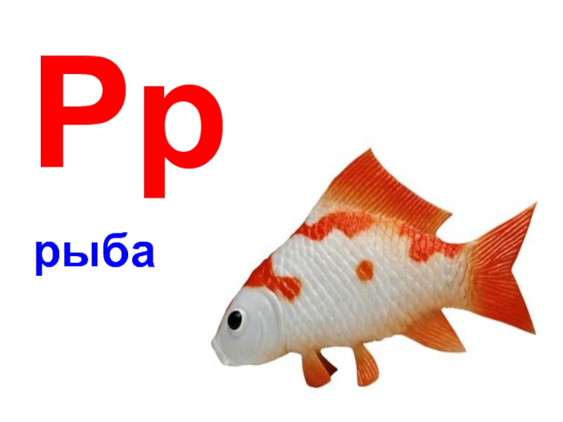 Word of fish. Слово рыба. Рыбки со словами. Текст про рыбок. Рыба текст.