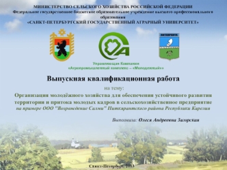 Организация молодёжного хозяйства для обеспечения развития территории и притока кадров в сельскохозяйственное предприятие