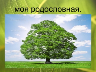 Моя родословная