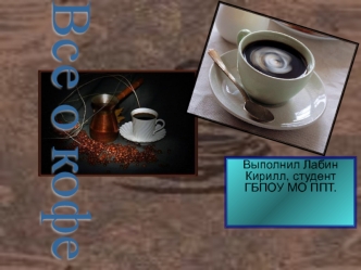 Презентация Лабин