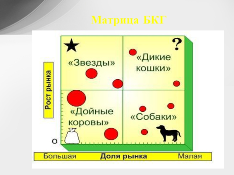 Презентация матрица бкг