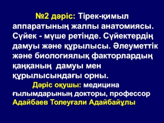 Тірек-қимыл аппаратының жалпы анатомиясы. Сүйек - мүше ретінде. Сүйектердің дамуы және құрылысы