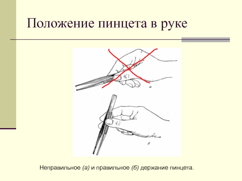 Положение 26. Положение пинцета в руке. Правильное положение пинцета в руке. Положение пинцета в руке правильное и неправильное. Положение хирургического пинцета в руке.