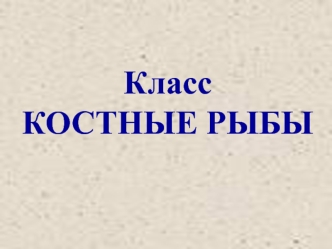 Класс Костные рыбы