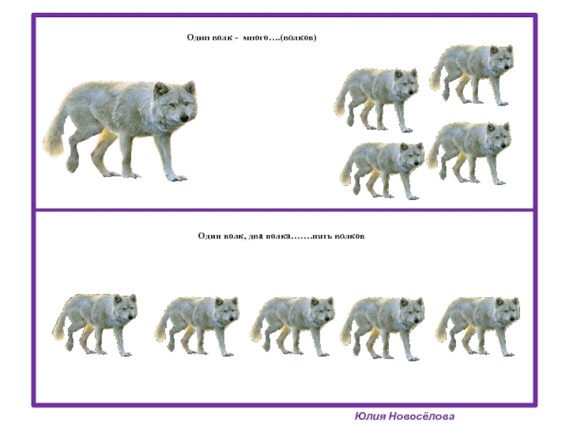 Задание волки. Игра согласование числительных с существительными. Дикие животные один много. Волк один много. Игра один волк много Волков.