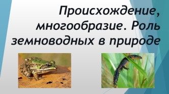 Происхождение, многообразие и роль земноводных в природе