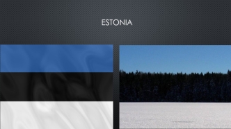 Эстония