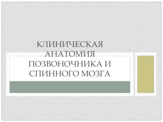 Клиническая анатомия позвоночника и спинного мозга