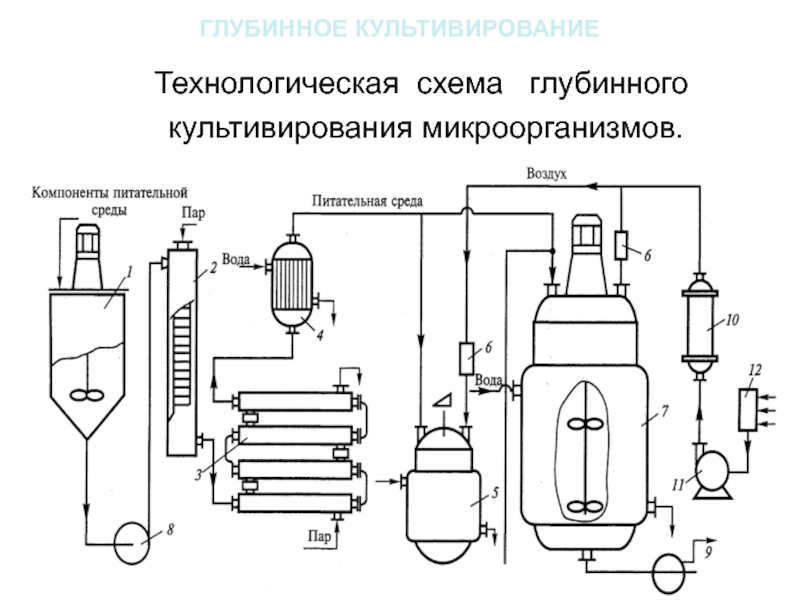 Принципиальная схема технологического процесса