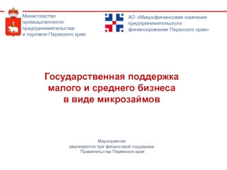 Государственная поддержка малого и среднего бизнеса в виде микрозаймов