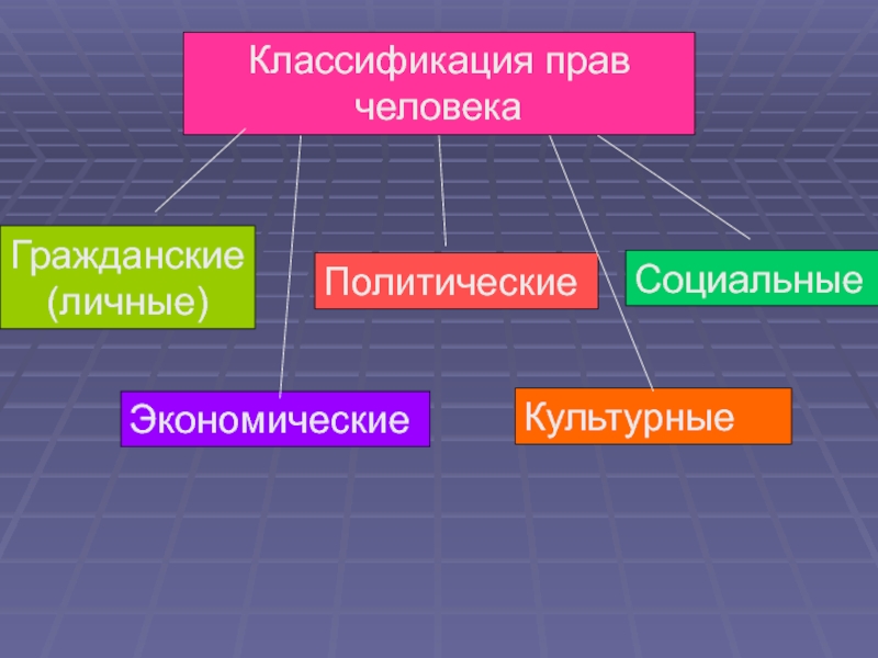 Схема права человека гражданские культурные политические