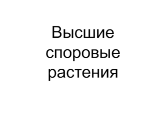 Высшие споровые растения