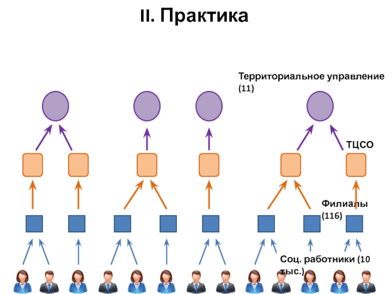 Сеть соц работника