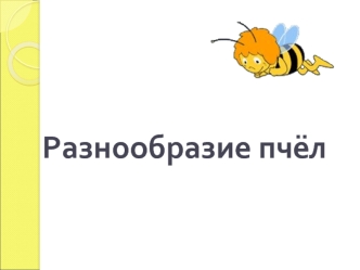 Разнообразие пчёл