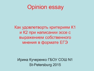 Opinion essay