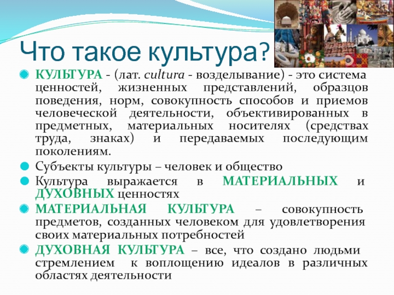 Совокупность правил образцов поведения предписаний требований принятых в культуре того или иного