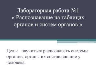 Распознавание на таблицах органов и систем органов