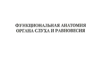 Функциональная анатомия органа слуха и равновесия