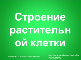 Строение растительной клетки