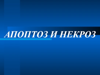 Апоптоз и некроз