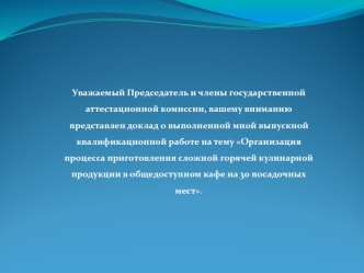 Организация процесса приготовления сложной горячей кулинарной продукции в общедоступном кафе на 30 посадочных мест