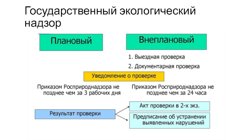 Государственный экологический надзор презентация