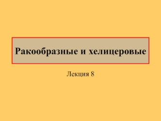 Ракообразные и хелицеровые. (Лекция 8)